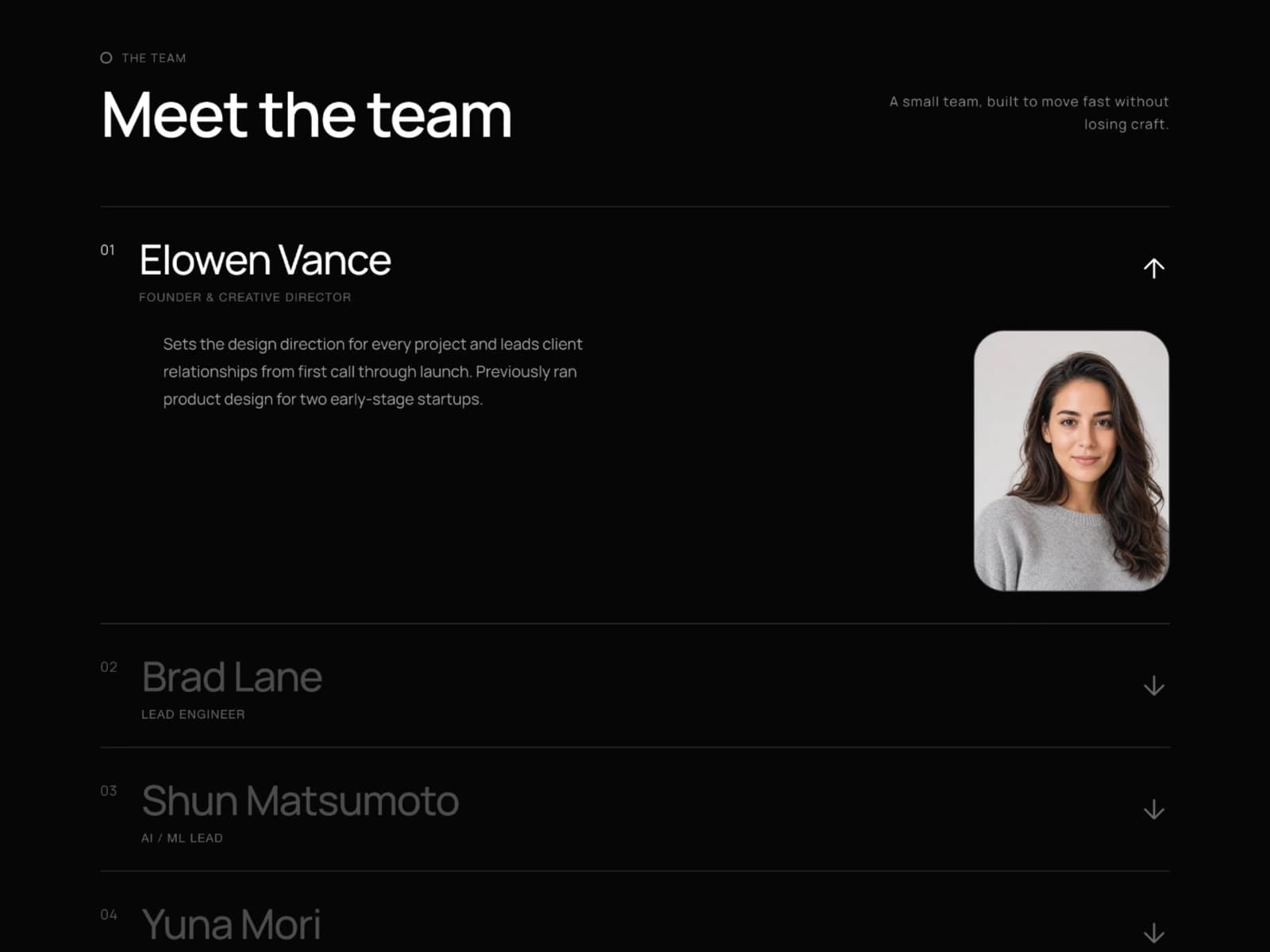 Team Section Pro
